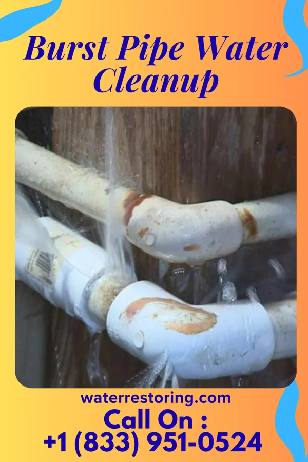 Burst Pipe Water Cleanup in Light Oak, NC