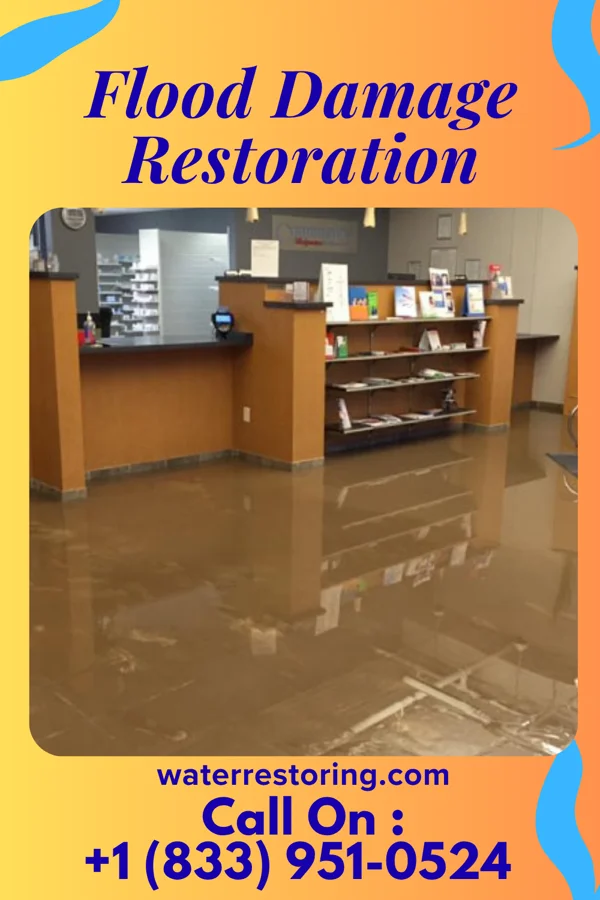 Flood Damage Restoration in Light Oak, NC