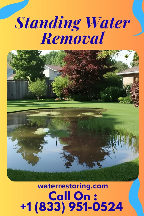 Standing Water Removal in Light Oak, NC